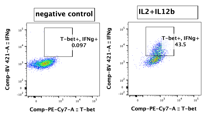 Recombinant Mouse IL-12 Protein 419-ML