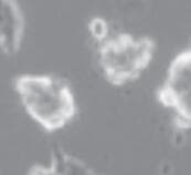PD 0325901 4192