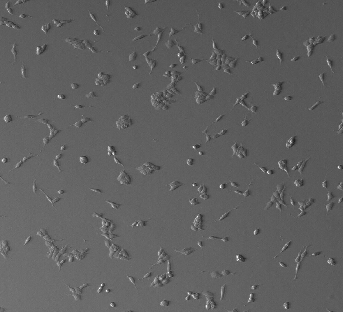PD 0325901 4192