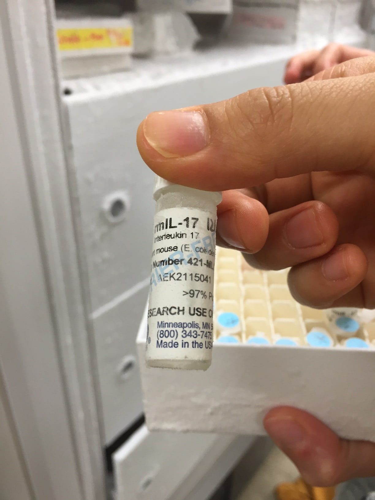 Recombinant Mouse IL-17A Protein 421-ML