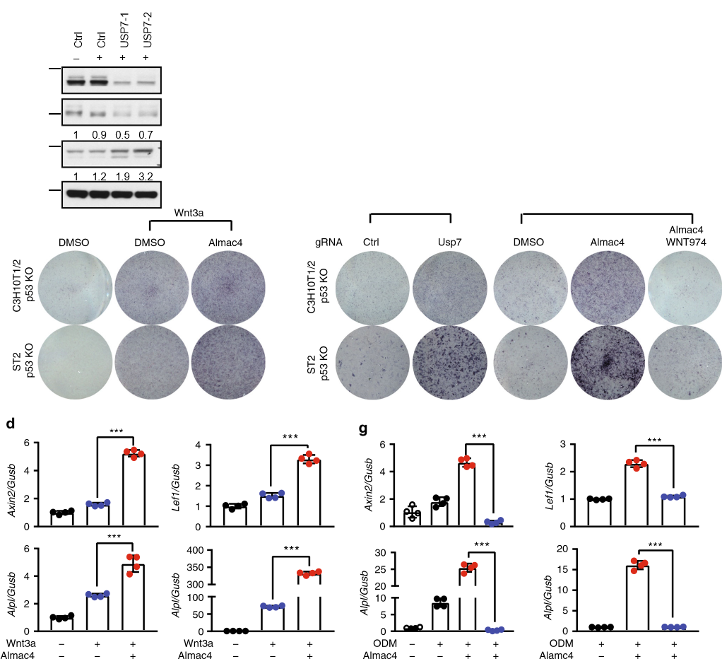 HBX 41108 4285