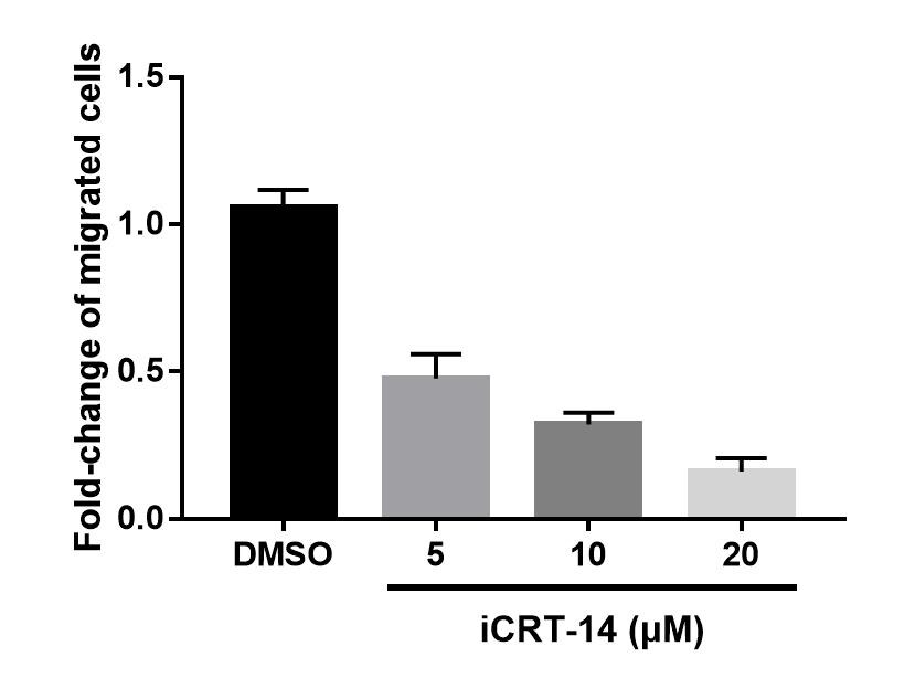 iCRT 14 4299