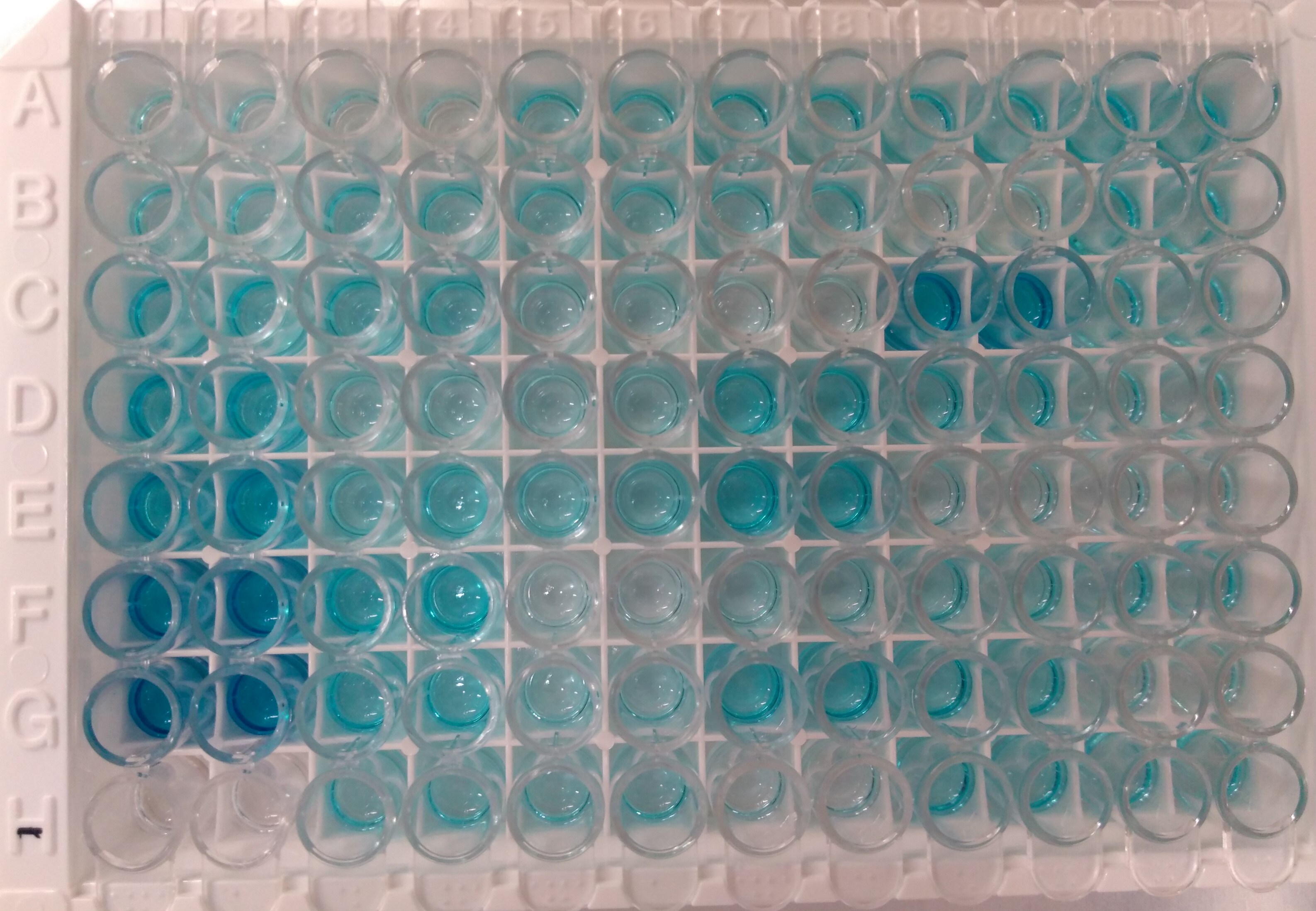 HT 8-oxo-dG ELISA Kit II 4380-192-K