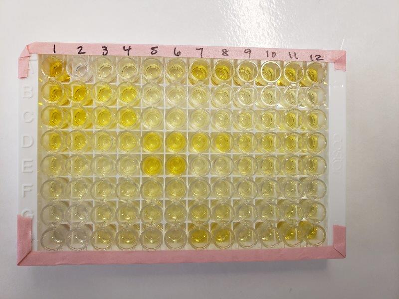 HT 8-oxo-dG ELISA Kit II 4380-192-K
