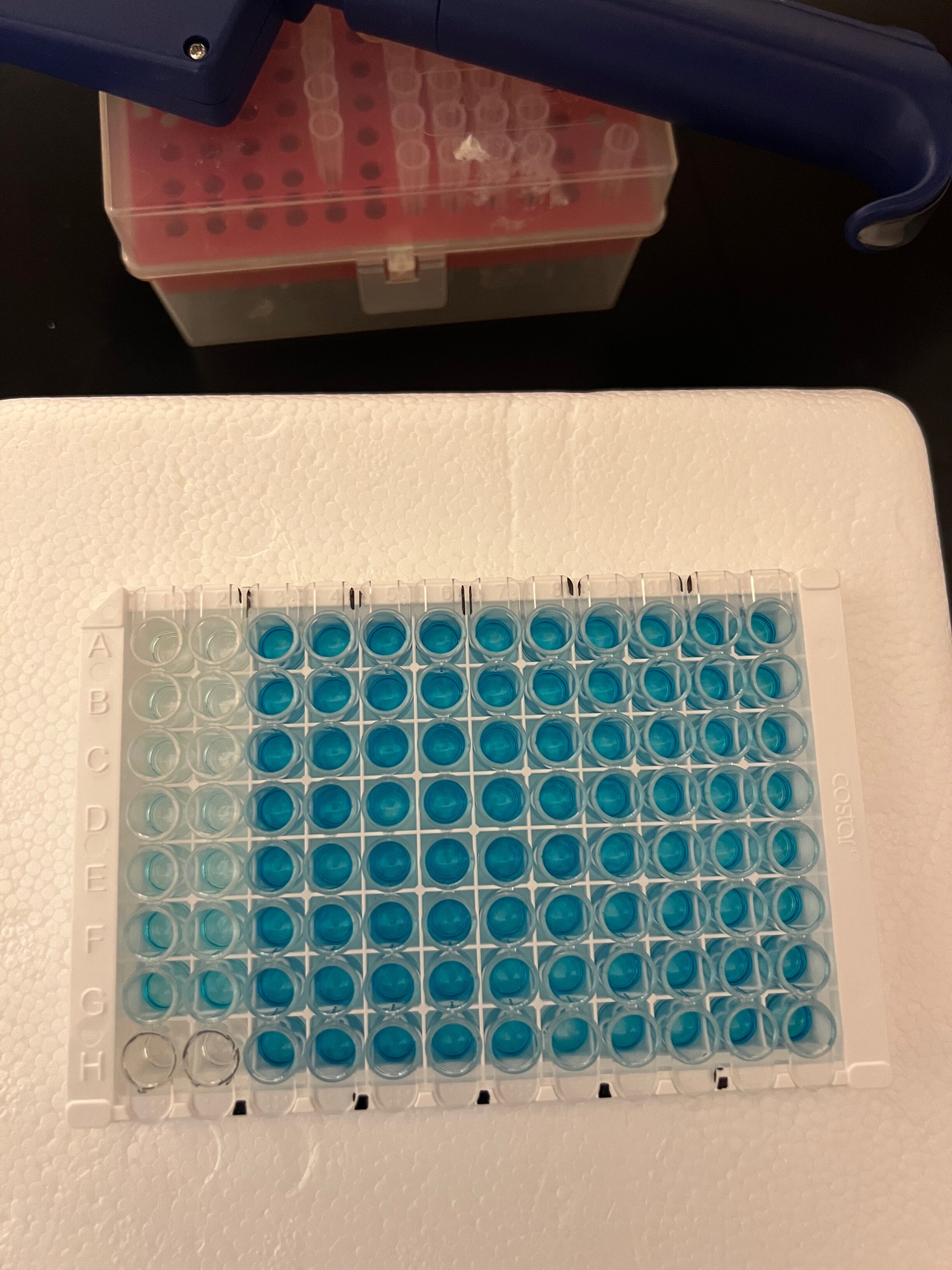 HT 8-oxo-dG ELISA Kit II 4380-192-K