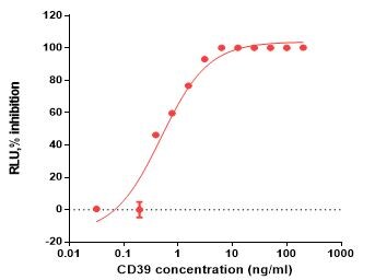 Recombinant Human CD39/ENTPD1 Protein, CF 4397-EN