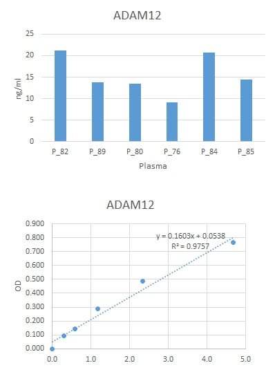 Recombinant Human ADAM12 Protein, CF 4416-AD