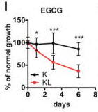 EGCG 4524