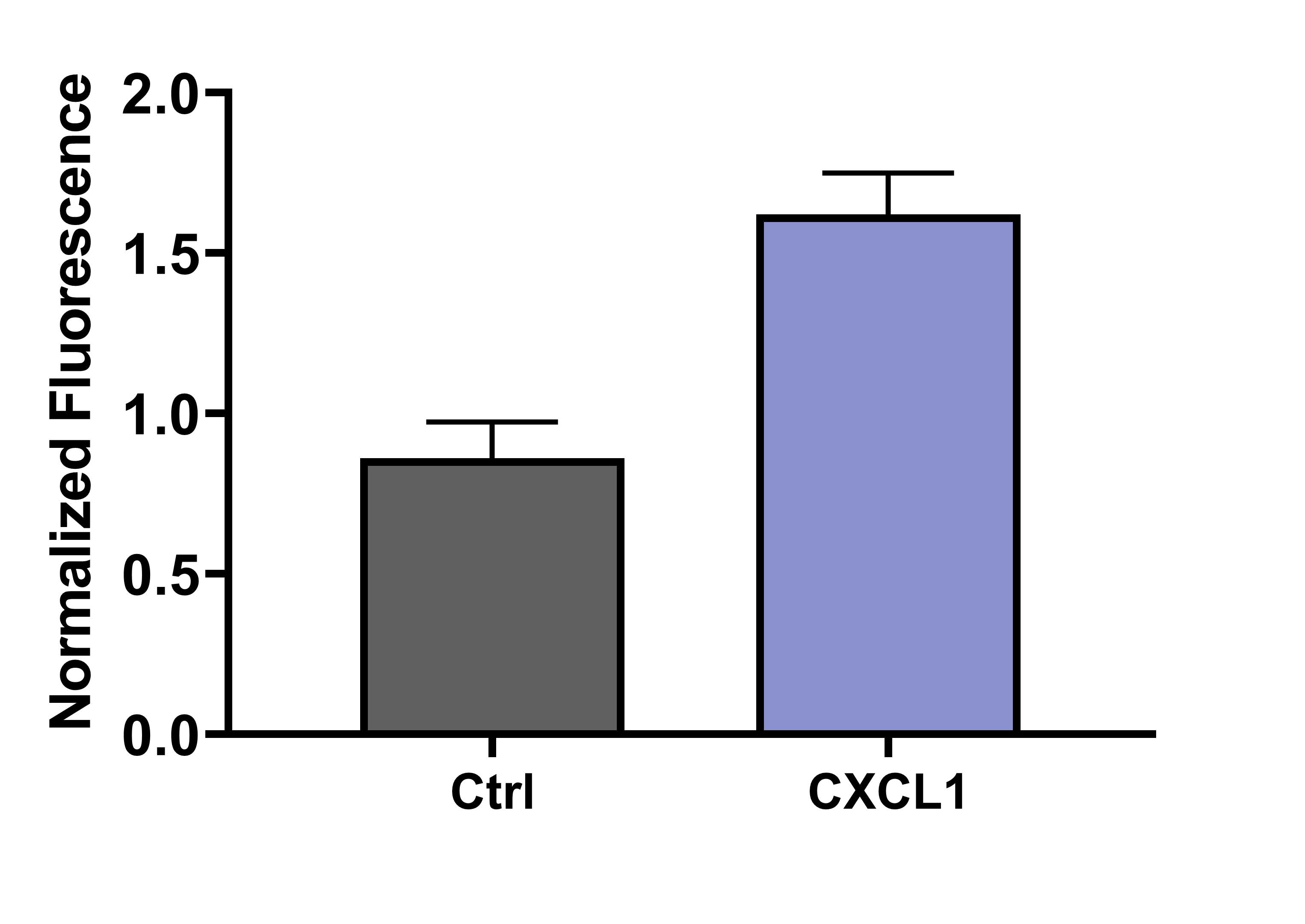 Recombinant Mouse CXCL1/KC Protein 453-KC