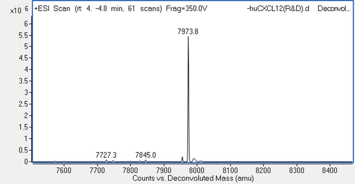 Recombinant Mouse CXCL12/SDF-1 alpha Protein 460-SD