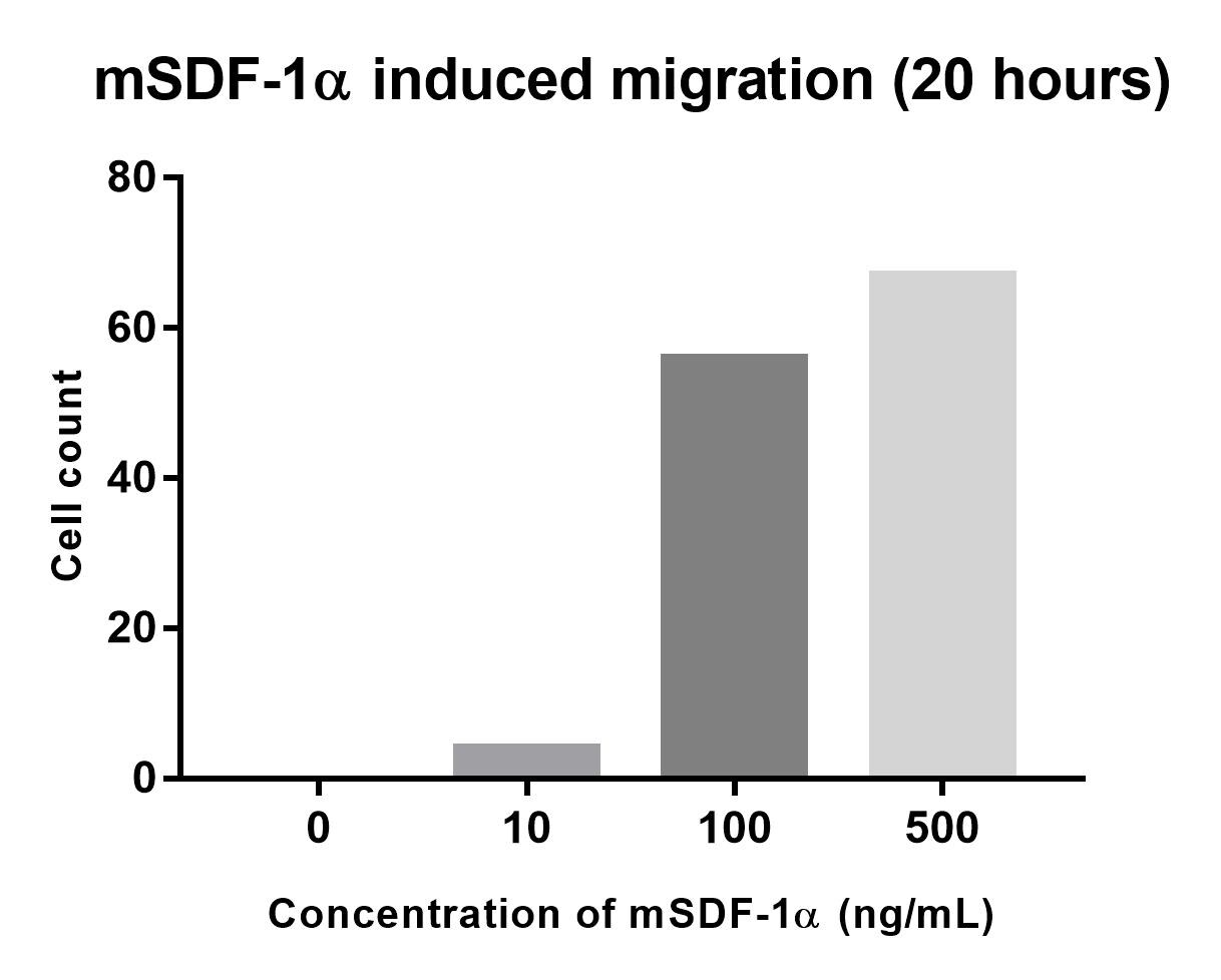 Recombinant Mouse CXCL12/SDF-1 alpha Protein 460-SD