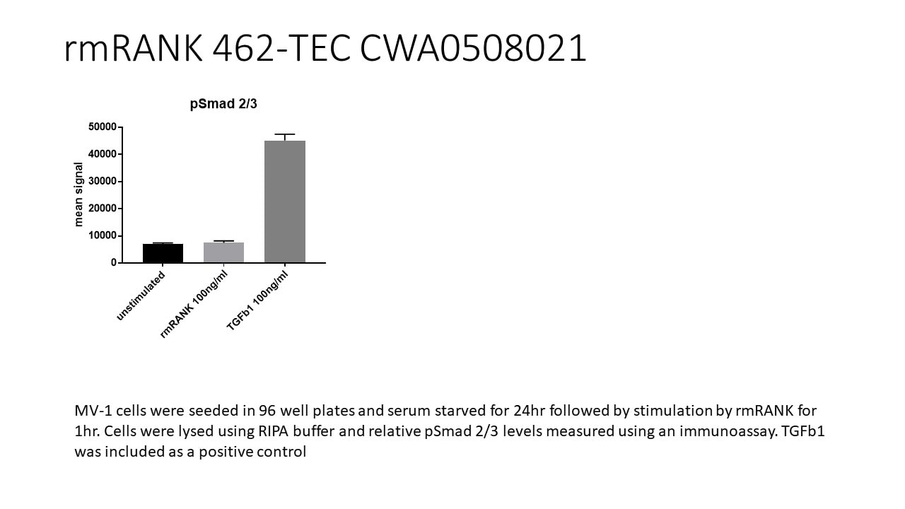 Recombinant Mouse TRANCE/RANK L/TNFSF11 (E. coli-expressed) 462-TEC