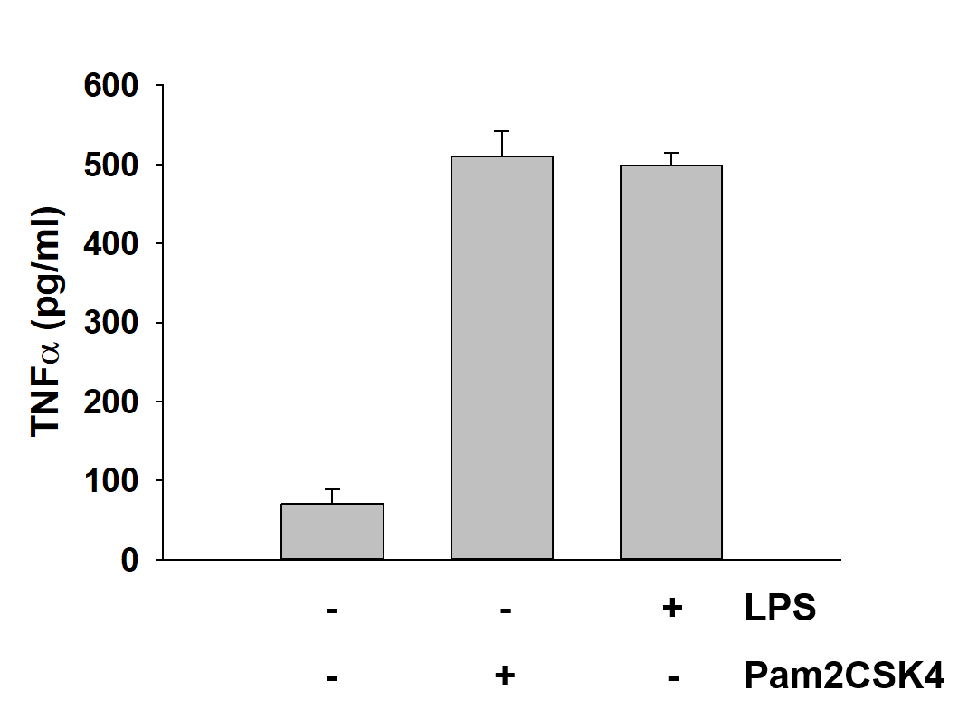Pam2CSK4 4637