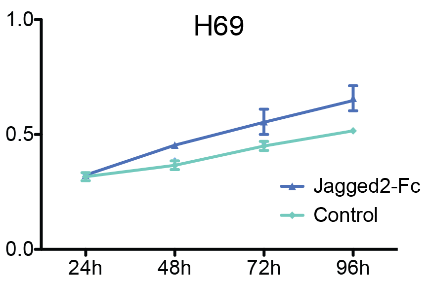 Recombinant Mouse Jagged 2 Fc Chimera Protein, CF 4748-JG