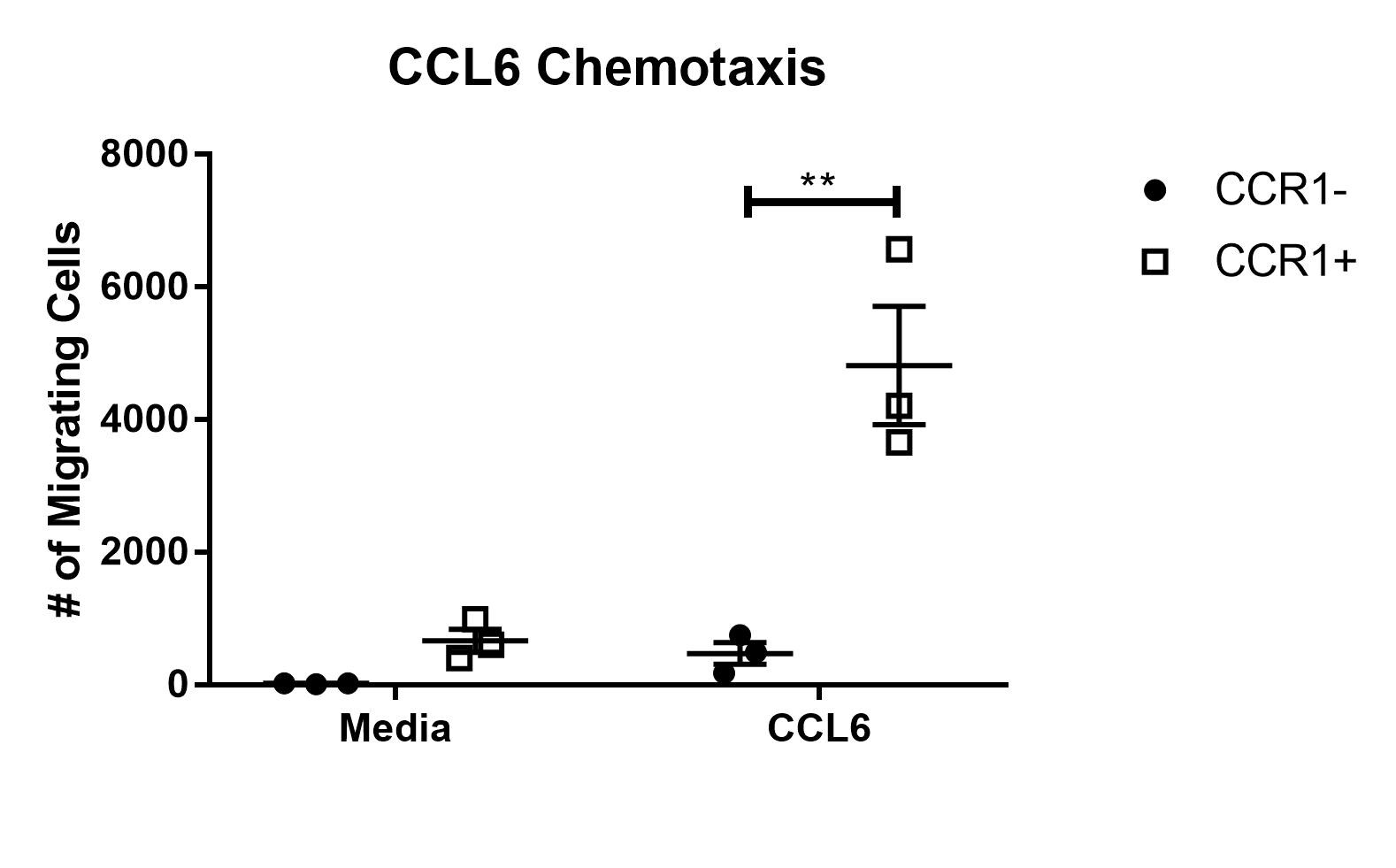 Recombinant Mouse CCL6/C10 Protein 487-C