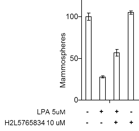 H2L5186303 4878