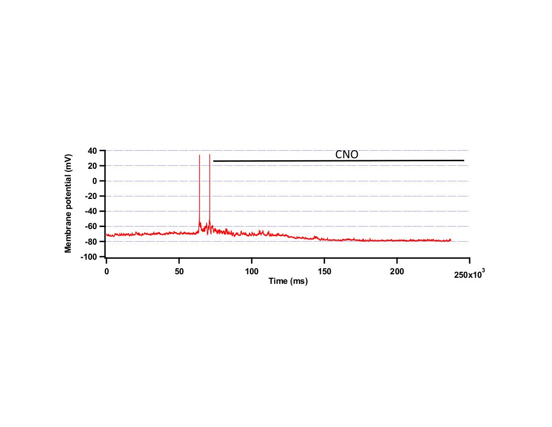 Clozapine N-oxide (CNO) 4936