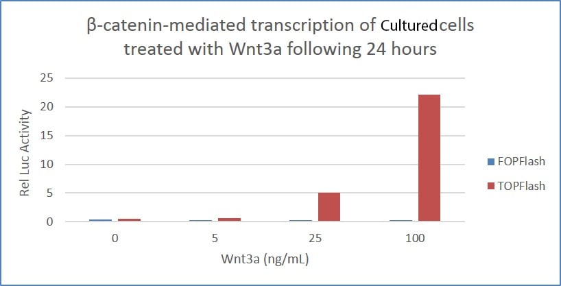 Recombinant Human Wnt-3a Protein 5036-WN