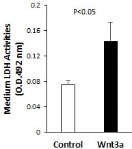 Recombinant Human Wnt-3a Protein 5036-WN