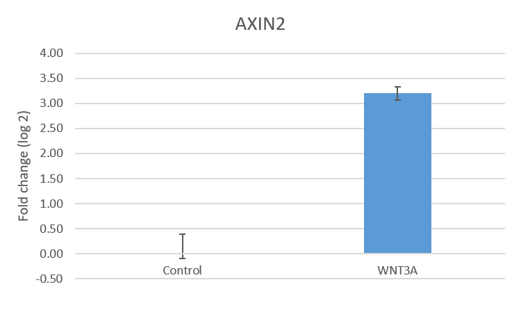 Recombinant Human Wnt-3a Protein 5036-WN