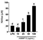 Recombinant Human MMP-13 Protein, CF 511-MM