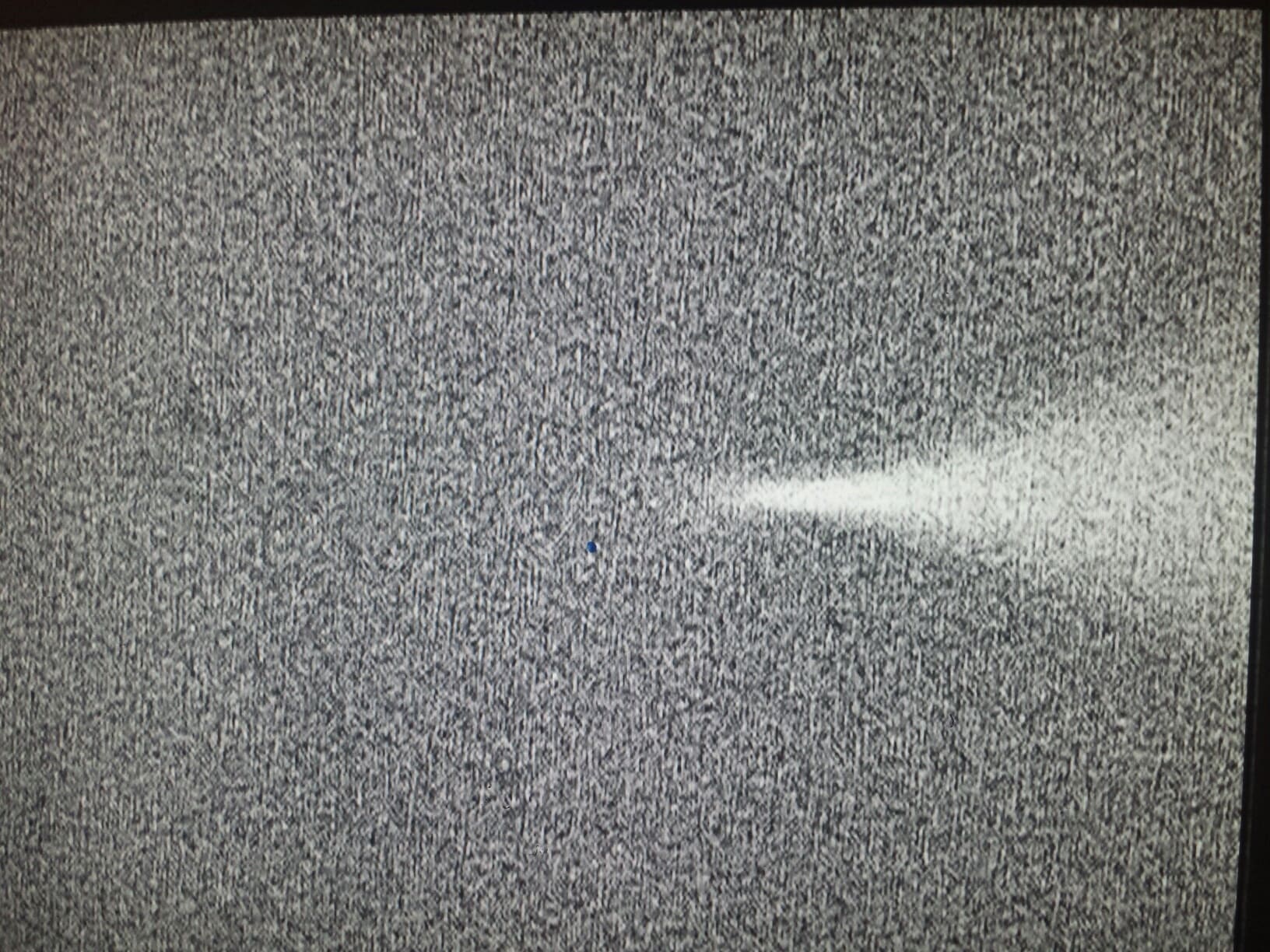 Propidium iodide 5135