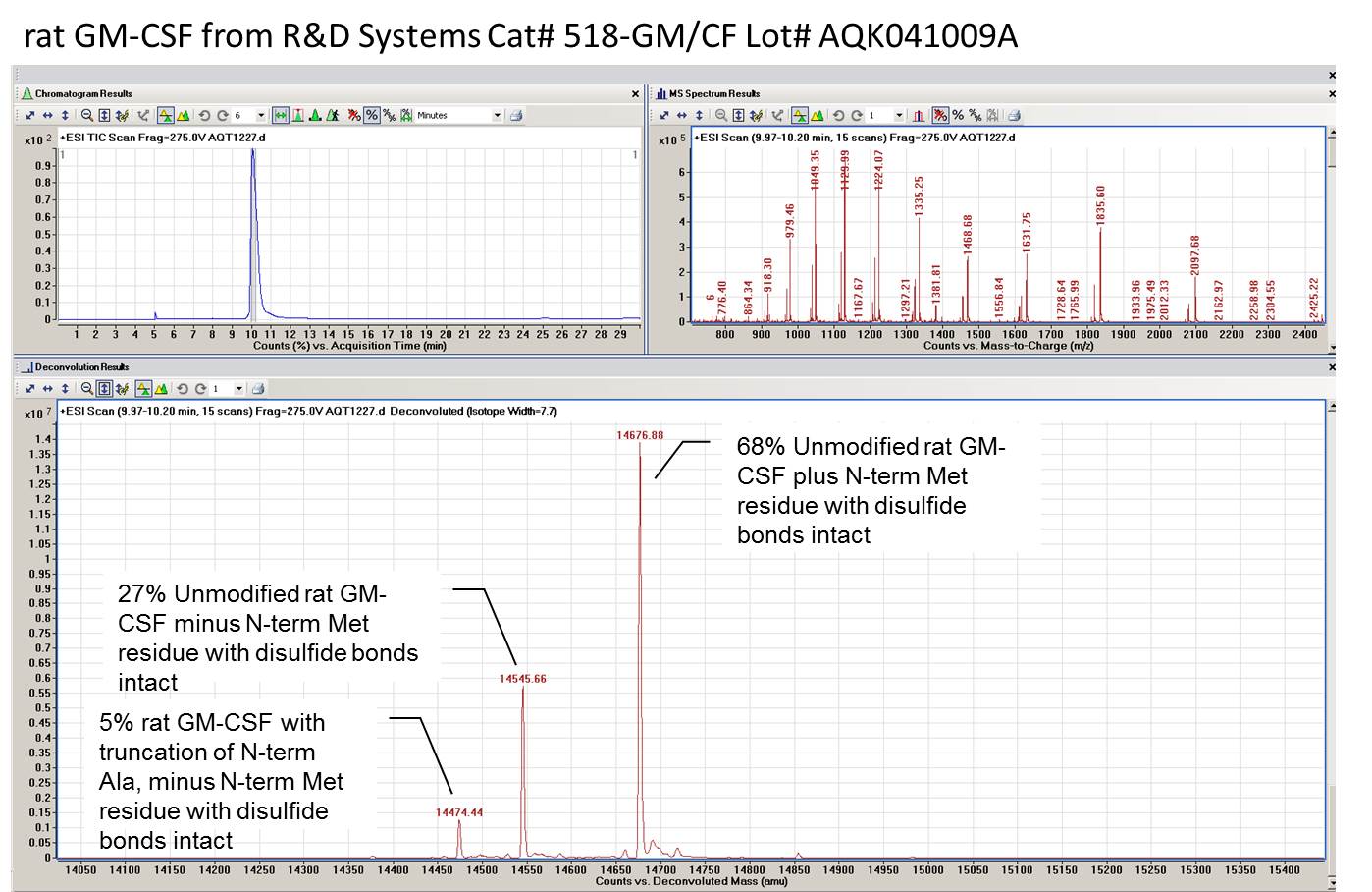 Recombinant Rat GM-CSF Protein 518-GM