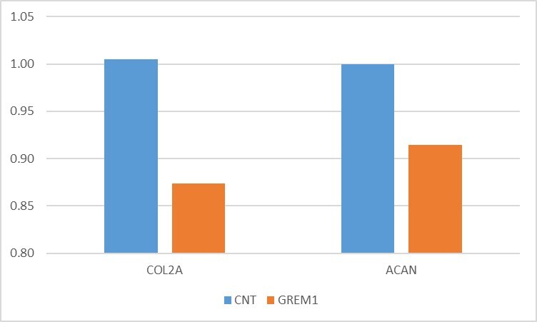 Recombinant Human Gremlin Protein, CF 5190-GR