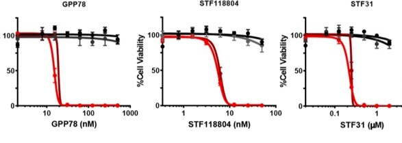 STF 118804 5207