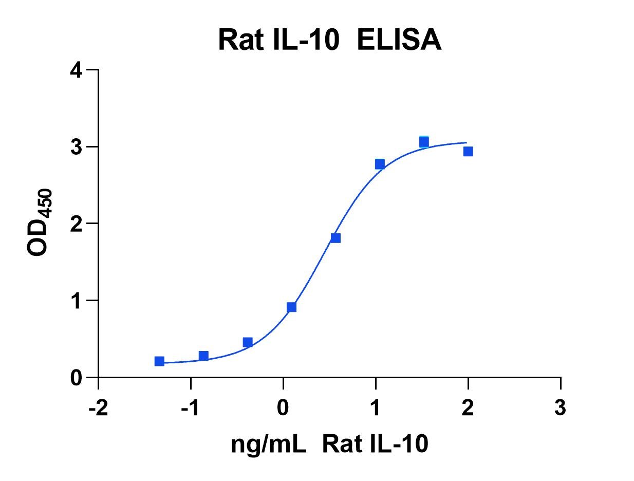 Recombinant Rat IL-10 Protein 522-RLB