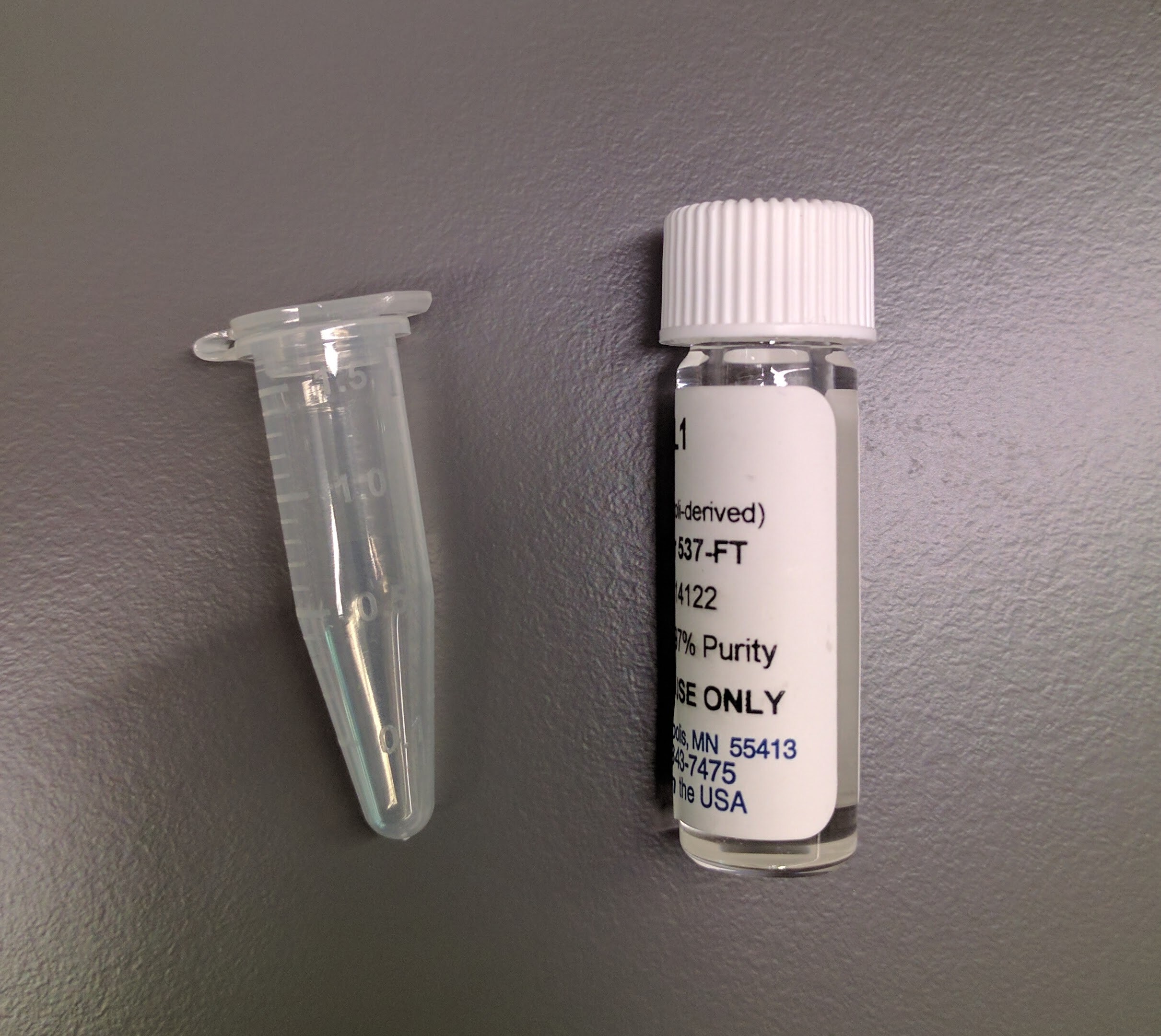 Recombinant Rat CX3CL1/Fractalkine (Chemokine Domain) 537-FT