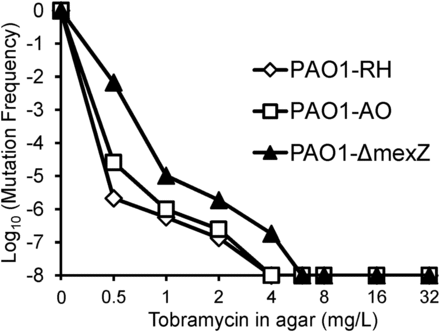 Tobramycin 5390