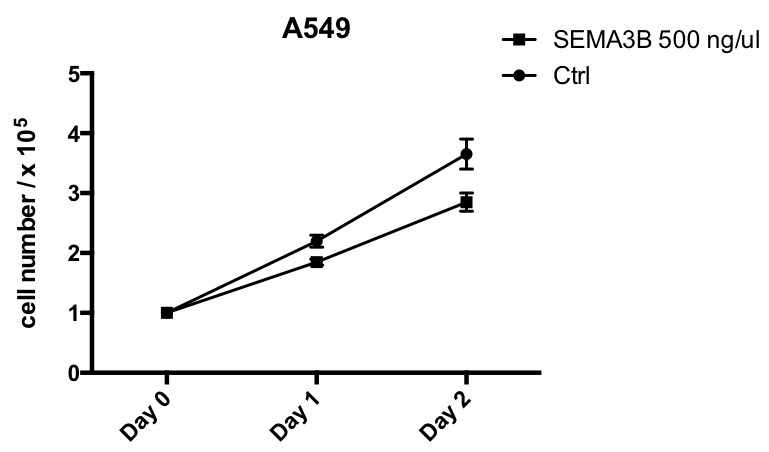 Recombinant Mouse Semaphorin 3B Fc Chimera Protein 5440-S3