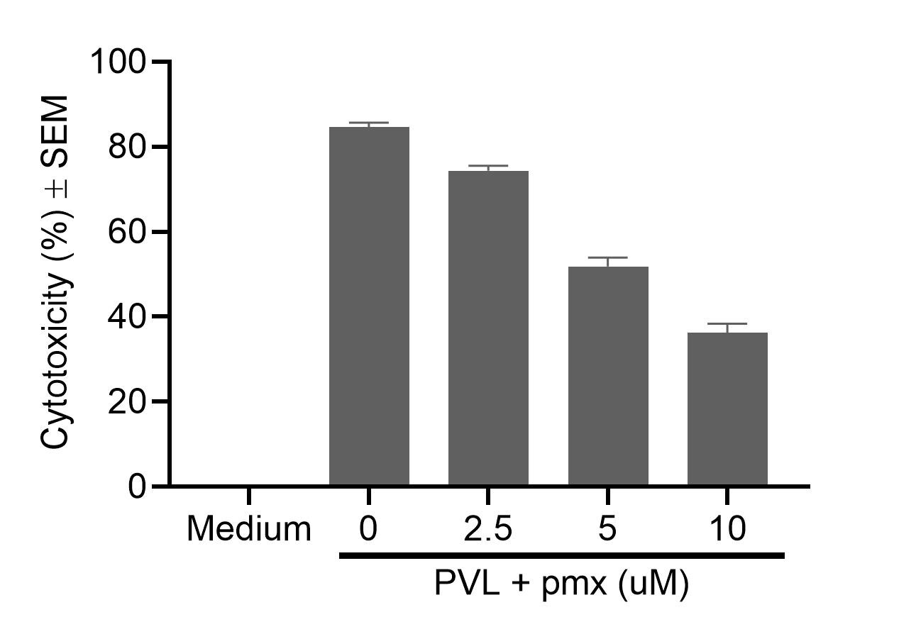 PMX 53 5473