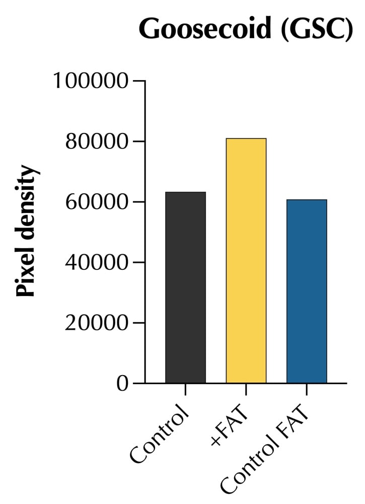 Protease Inhibitor Cocktail I 5500