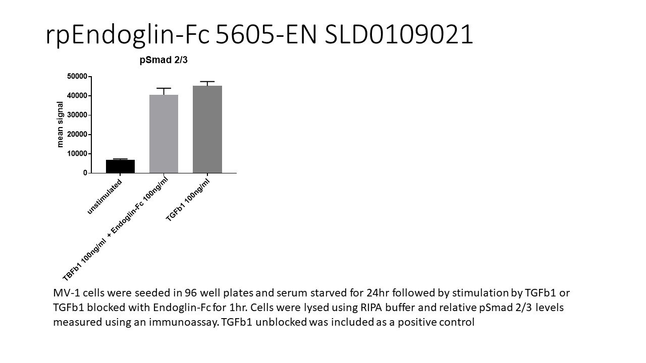 Recombinant Porcine Endoglin/CD105 Fc Chimera Protein, CF 5605-EN