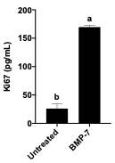 Recombinant Mouse BMP-7 Protein 5666-BP