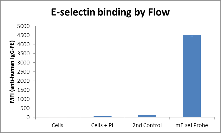 Recombinant Mouse E-Selectin/CD62E Fc Chimera Protein, CF 575-ES