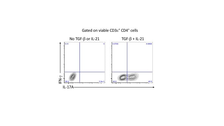 Recombinant Mouse IL-21 Protein 594-ML