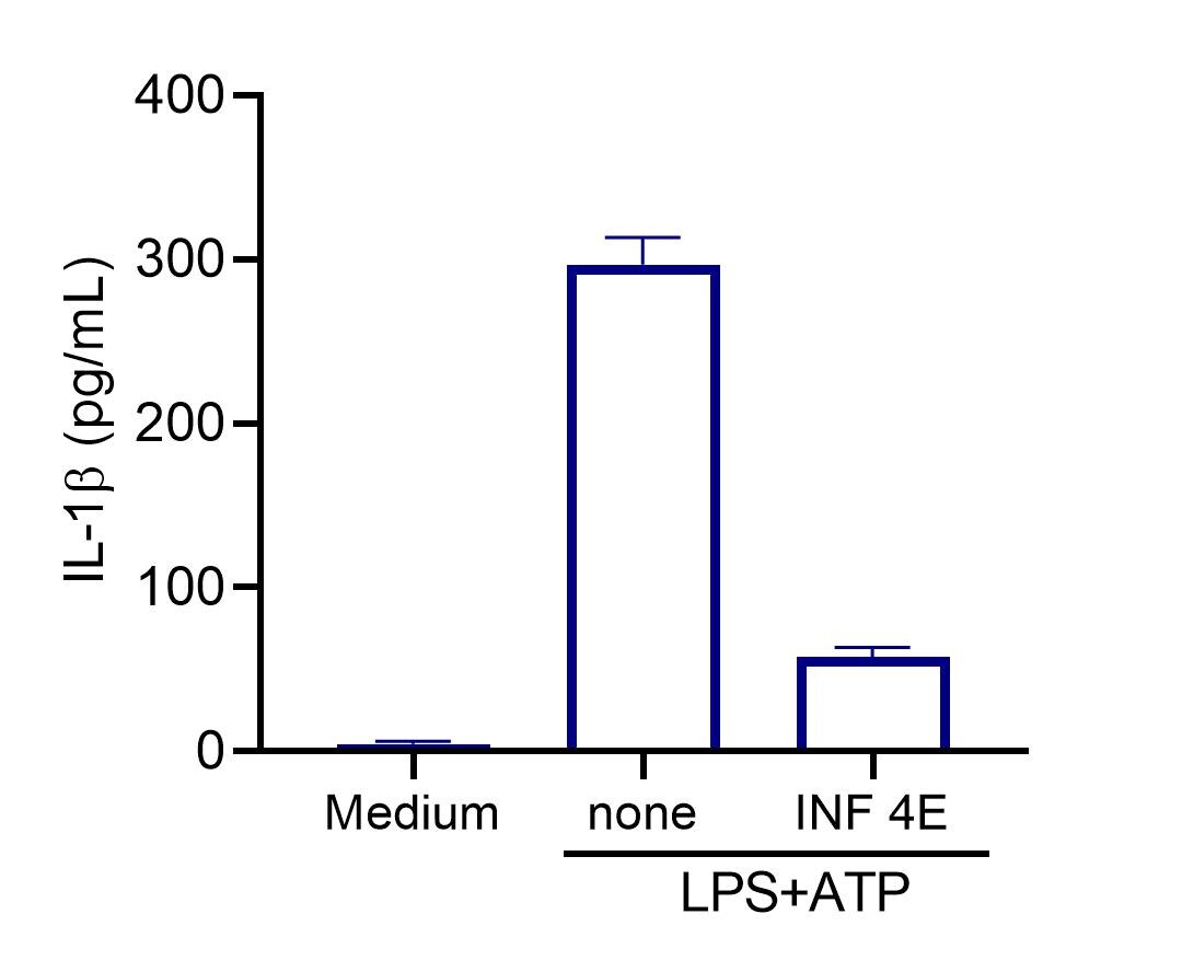 INF 4E 6172