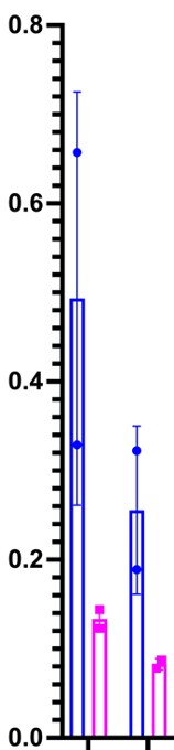 Recombinant Human Tie-1 Fc Chimera Protein, CF 619-TI