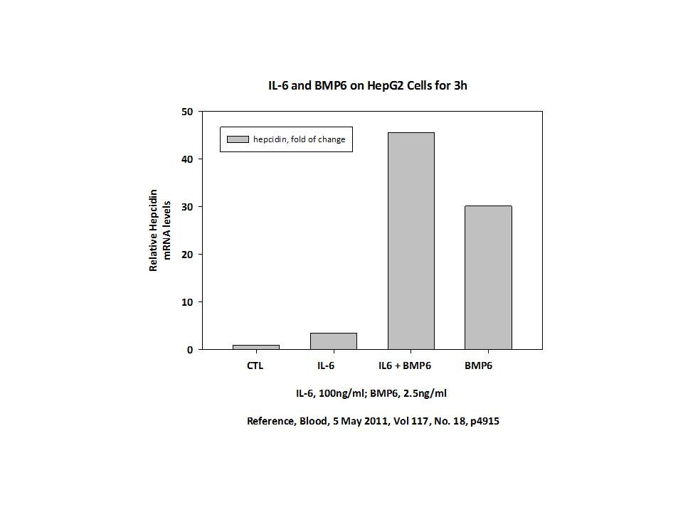 Recombinant Mouse BMP-6 Protein 6325-BM