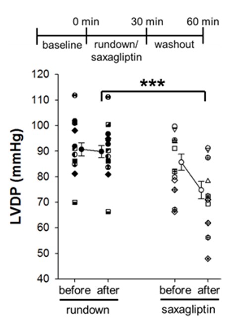 Saxagliptin hydrochloride 6507