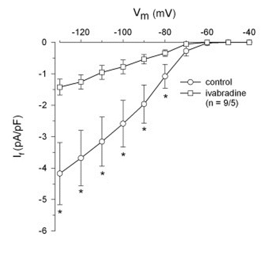 Ivabradine hydrochloride 6542