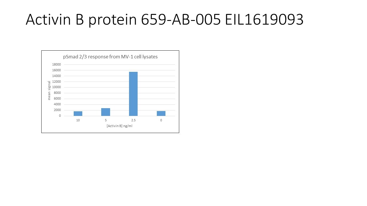 Recombinant Human Activin B Protein 659-AB