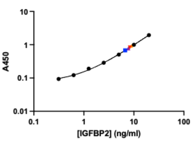 Recombinant Human IGFBP-2 Protein, CF 674-B2