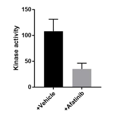 Afatinib dimaleate 6812