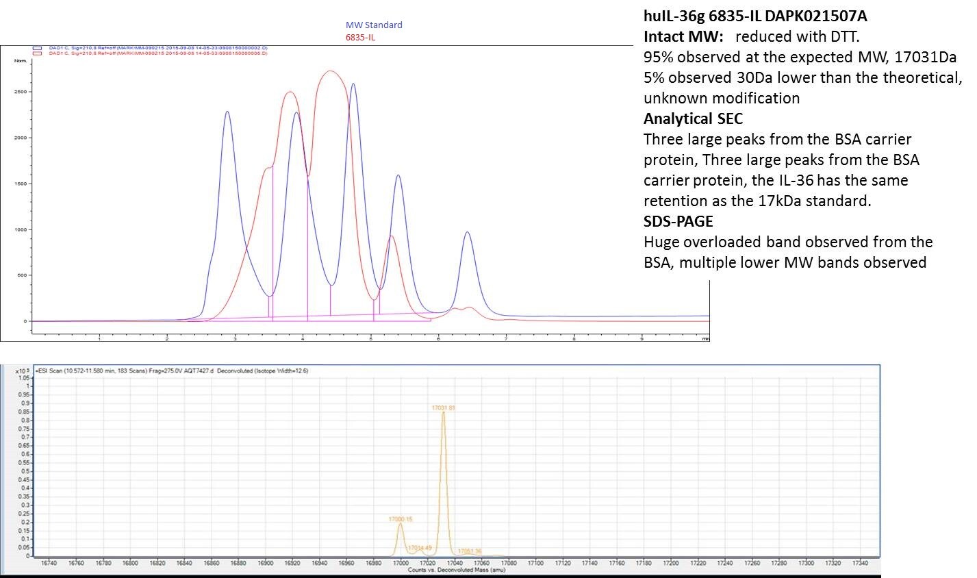 Recombinant Human IL-36 gamma/IL-1F9 (aa 18-169) Protein 6835-IL