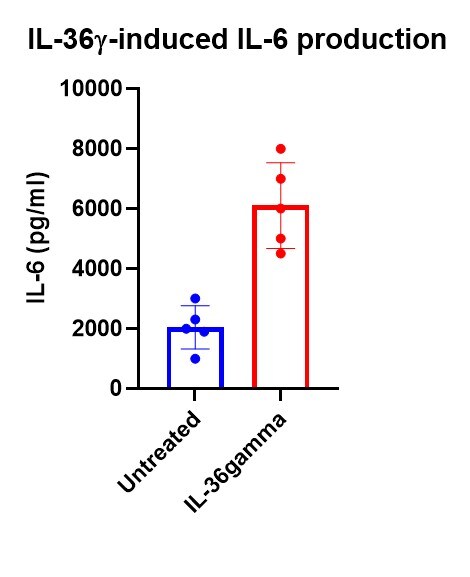 Recombinant Human IL-36 gamma/IL-1F9 (aa 18-169) Protein 6835-IL
