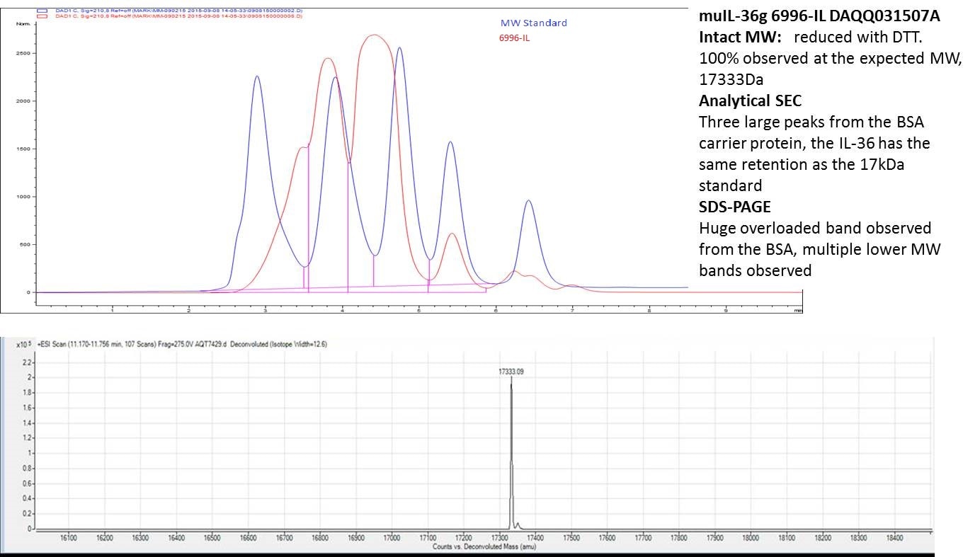 Recombinant Mouse IL-36 gamma/IL-1F9 (aa 13-164) Protein 6996-IL
